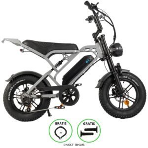 V20 Pro Mini - Nardo - 2025