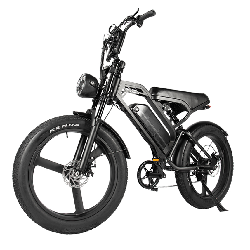 FAT BIKE V20 MAX
